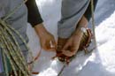 img437