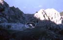 img781