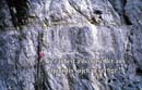 img798a